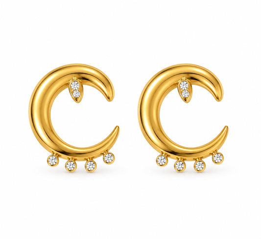 C Earrings